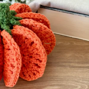 Pumpkin Coasters Set Crochet Pattern PDF | Fall & Halloween Decor