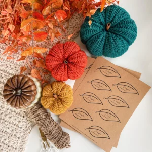Easy Crochet Pumpkin Pattern PDF | 6 Sizes, Beginner Friendly Fall Decor