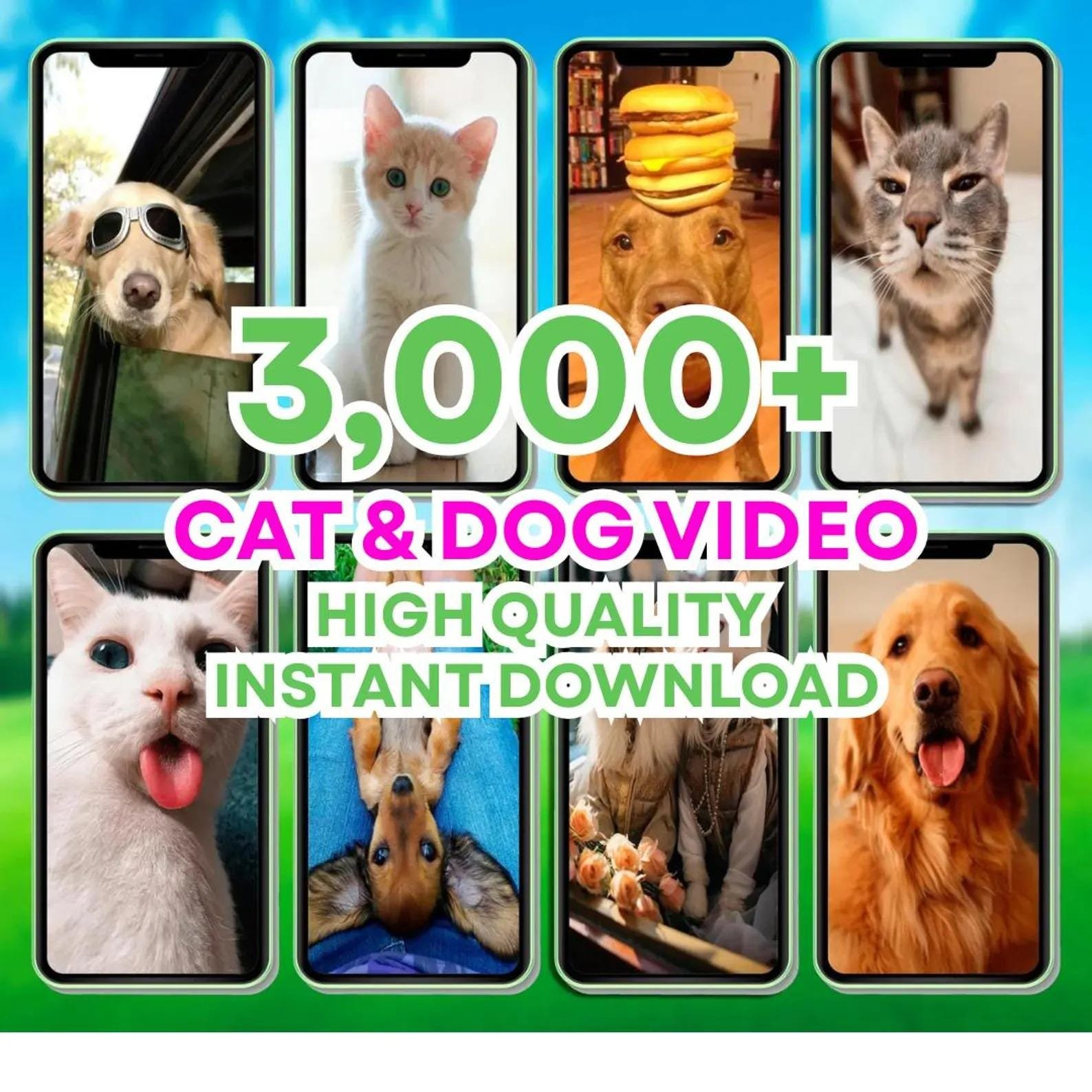 Viral Reels Bundle: 100K+ AI Animated Social Media Shorts (PDF) - Image 6