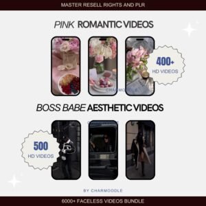6000+ Faceless Videos Reels Templates Bundle | Aesthetic Instagram TikTok | DFY PLR & MRR
